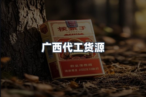 广西代工货源